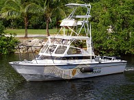 Coet_Extranjeros (1)